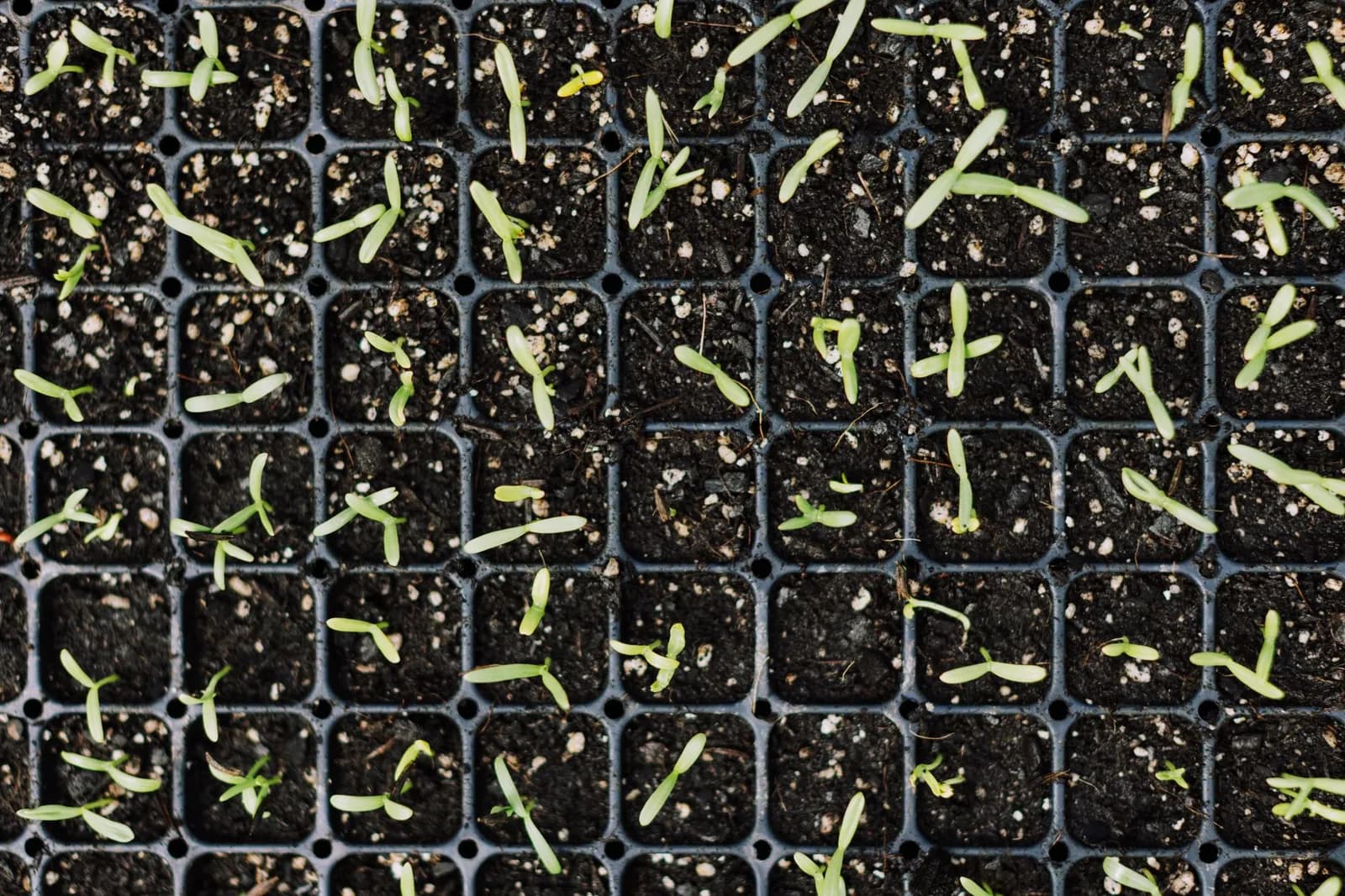 European and Chinese Startups Raise Capital for Seed Tech and Space 3D Printing