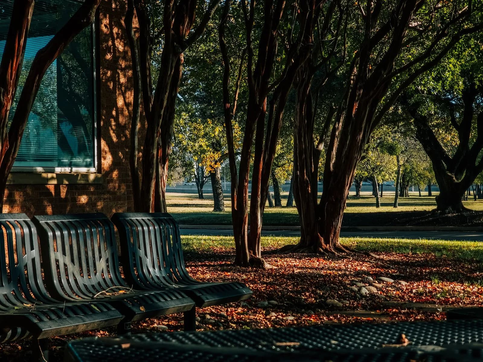 CaixaBank Turns Old Bank Cards Into Village Benches in Recycling Push