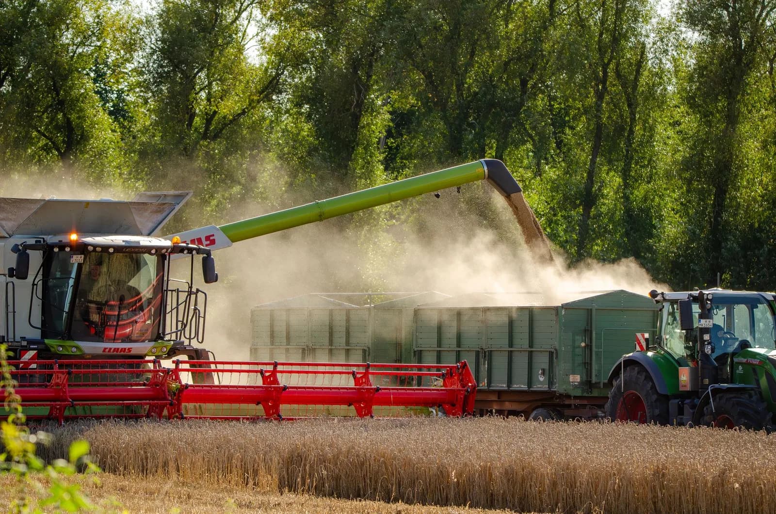 Italy's Aflabox raises €1.35M to scale AI-powered aflatoxin testing
