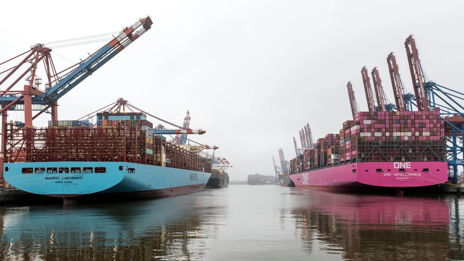European Blue Economy Startups Draw Fresh Funding Across Marine Tech