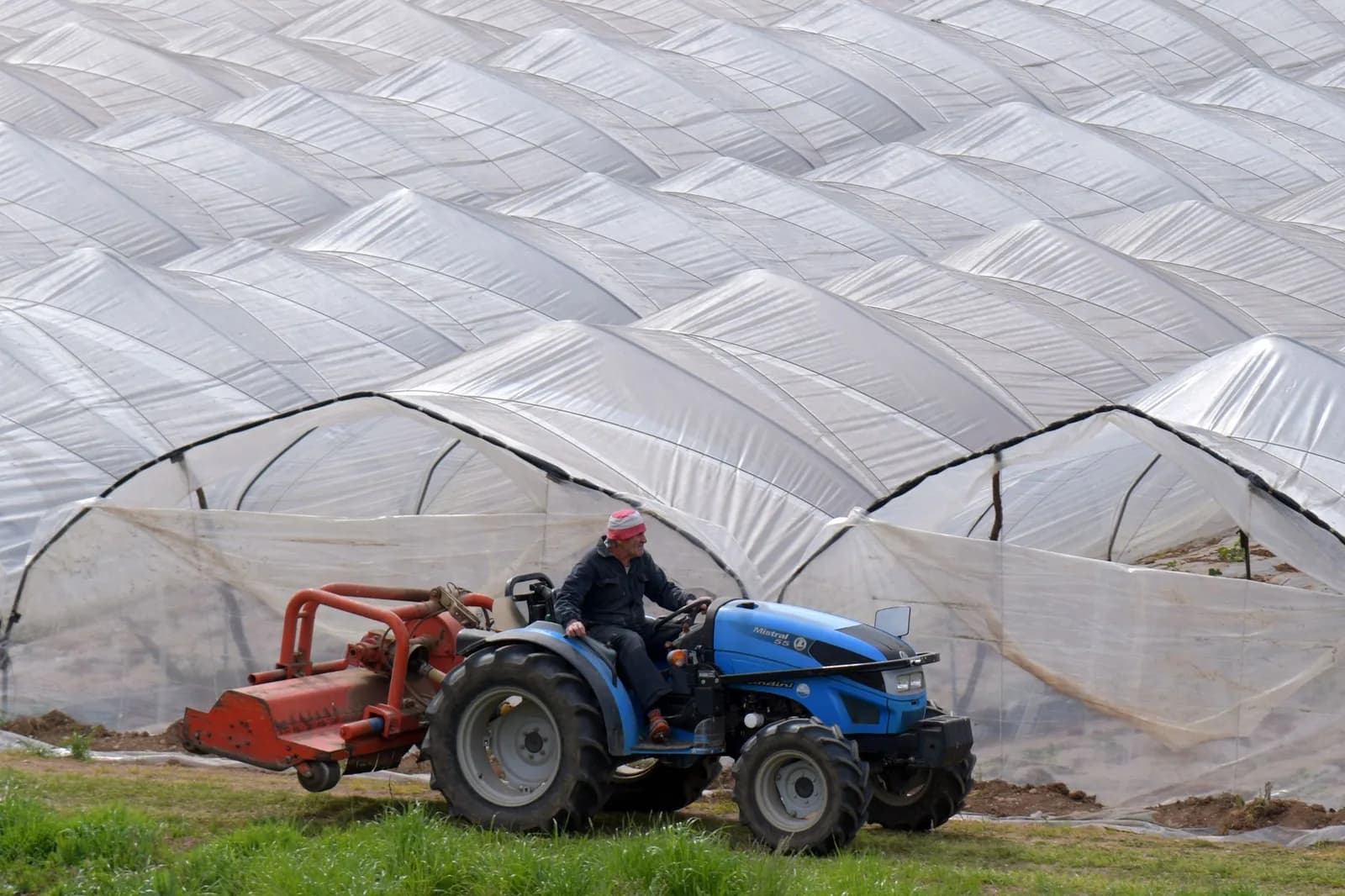Eindhoven's VitalFluid Raises €17.2 Million for Plasma-Based Crop Protection