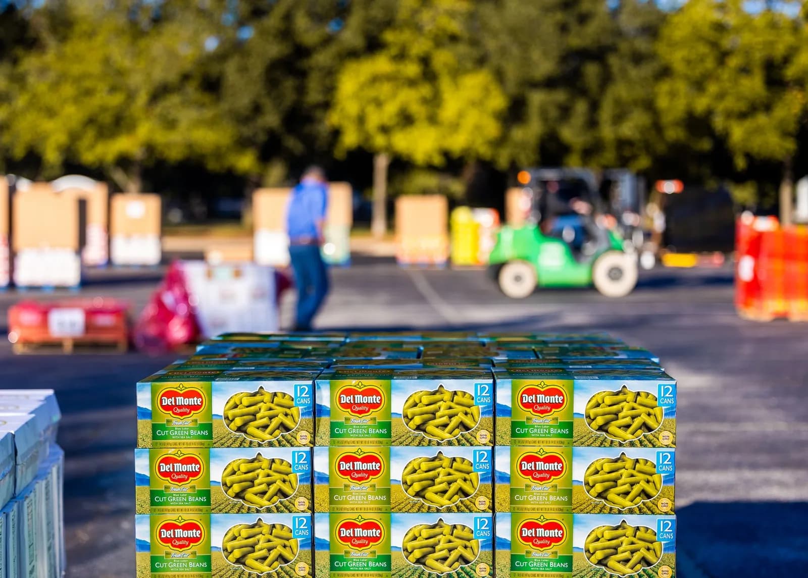 Kenyan Startup Twiga Foods Enters Administration After Financial Strain