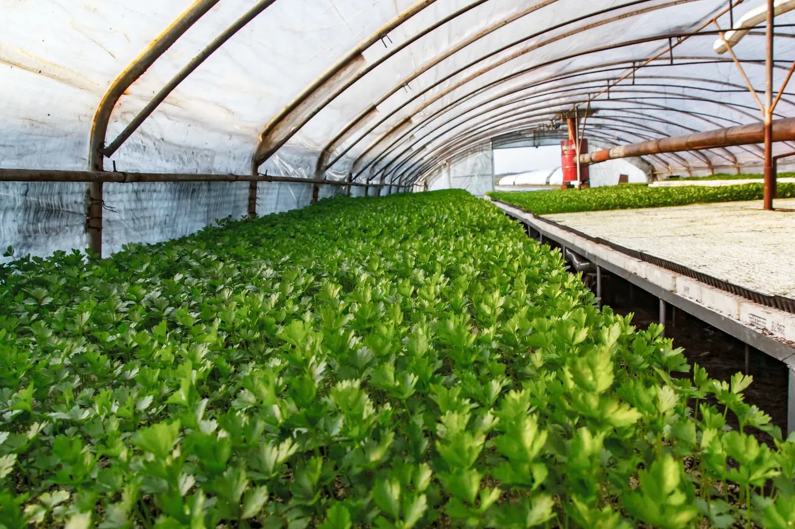 Robotics-Driven Startups Land Major Funding in Farming and Maritime Defence